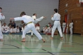IMG_7487_bearbeitet-1