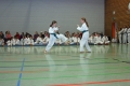 IMG_7507_bearbeitet-1