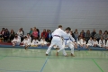 IMG_7623_bearbeitet-1