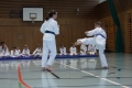IMG_9451_bearbeitet-1.jpg