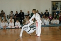 IMG_3266_bearbeitet-1
