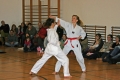 IMG_3267_bearbeitet-1