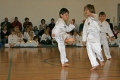 IMG_3306_bearbeitet-1