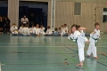IMG_6868_bearbeitet-2