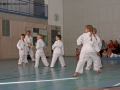 IMG_1647_bearbeitet-1.jpg