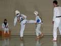 100_7393_bearbeitet-1