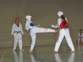 100_7423_bearbeitet-1