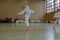 IMG_3964_bearbeitet-1