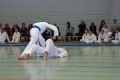 IMG_1574_bearbeitet-1