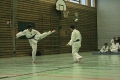 IMG_1588_bearbeitet-1