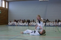 IMG_1900_bearbeitet-1