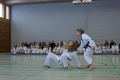 IMG_1902_bearbeitet-1