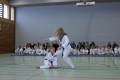 IMG_1905_bearbeitet-1
