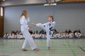 IMG_1920_bearbeitet-1