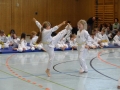 DSC06193_bearbeitet-1