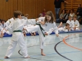 DSC06294_bearbeitet-1