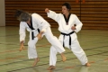 24_Sabine_Heike_Hambon-kyorugi.jpg