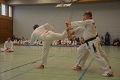 DSC_0385_bearbeitet-1.jpg