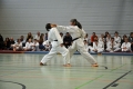 DSC_0444_bearbeitet-1.jpg