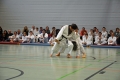 DSC_0448_bearbeitet-1.jpg