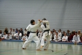 DSC_0455_bearbeitet-1.jpg
