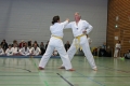 IMG_0182_bearbeitet-1.jpg
