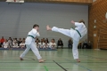 IMG_0286_bearbeitet-1.jpg