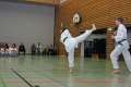 IMG_0295_bearbeitet-1.jpg