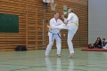IMG_0377_bearbeitet-1.jpg