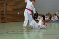 IMG_0489_bearbeitet-1.jpg