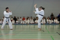 IMG_0534_bearbeitet-1.jpg