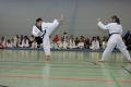 IMG_0542_bearbeitet-1.jpg