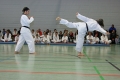 IMG_0550_bearbeitet-1.jpg