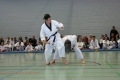 IMG_0633_bearbeitet-1.jpg