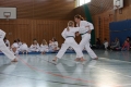 IMG_7656_bearbeitet-1