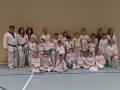 DSC01555_bearbeitet-1