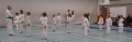 DSC08427_bearbeitet-1
