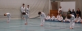 DSC08437_bearbeitet-1