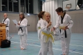 DSC9999y