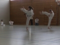 BILD0411