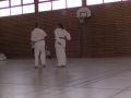 BILD0419