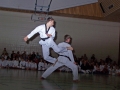 100_5444_bearbeitet-1