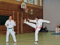 100_8537_bearbeitet-1.jpg
