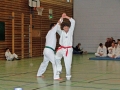 100_8545_bearbeitet-1.jpg