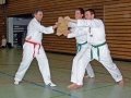 100_8549_bearbeitet-1.jpg