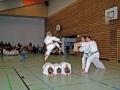 100_8550_bearbeitet-1.jpg