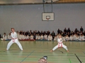 100_8553_bearbeitet-1.jpg