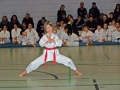 100_8555_bearbeitet-1.jpg