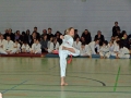 100_8561_bearbeitet-1.jpg