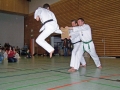 100_8637_bearbeitet-1.jpg